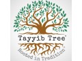 tayyib-tree-small-0