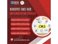 hubspot-cms-hub-implementation-services-small-0