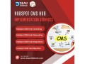 hubspot-cms-hub-implementation-services-small-0