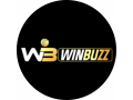 winbuzz-login-how-to-access-your-account-easily-and-securely-small-0