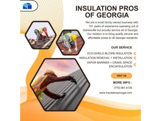 Mold and Mildew Remediation Flowery Branch