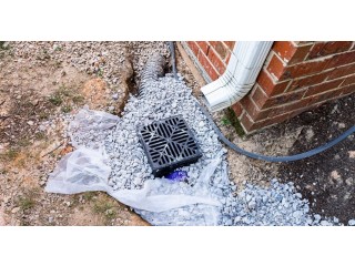 Artificial Grass for Lawns Celina