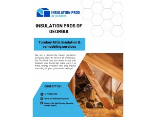 Attic Insulation Removal and Replacement Gainesville