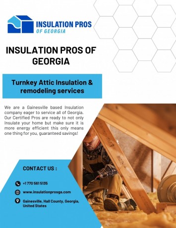 attic-insulation-removal-and-replacement-gainesville-big-0