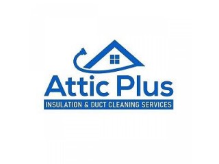 Attic Plus Insulation