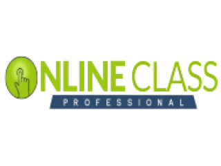 Online Class Professional