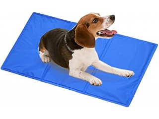Briefly Understand The Use of Pet Cool Gel Mat