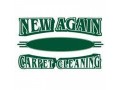 new-again-carpet-cleaning-small-0