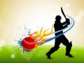 online-cricket-small-0