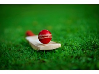 Make online cricket betting id