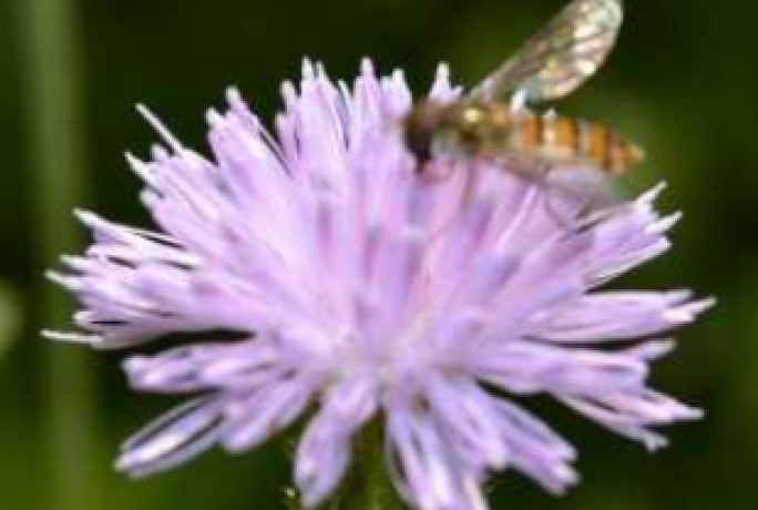 promotional-polo-shirts-with-logo-printed-lowest-price-big-0