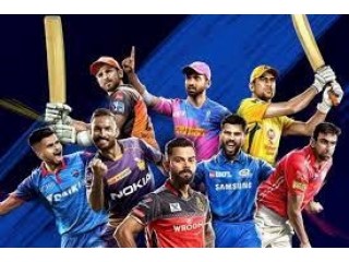 What Is IPL Betting ID and How To Get It Online