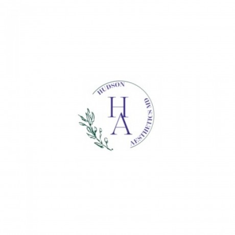 hudson-aesthetics-md-big-0