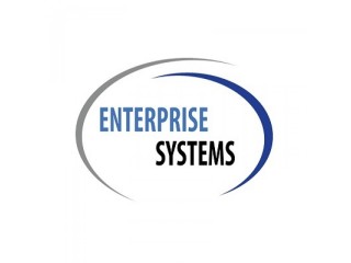 Enterprise Systems