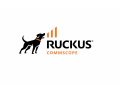 ruckus-networks-small-0