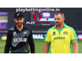 New Play Betting Online Website: Trustworthy and Easy Way to Win Big