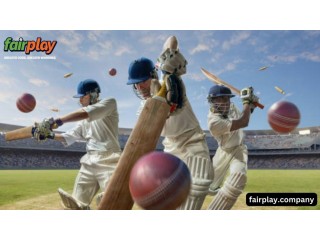 Fairplay: Exploring the Excitement of Fair Play in the Online Cricket ID World