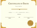 birth-certificate-translate-small-0