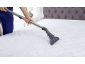 carpet-clean-service-hollywood-small-0
