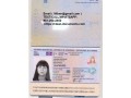 passportsdrivers-licensesid-cardsbirth-certificatesdiplomasvisasssn-small-2