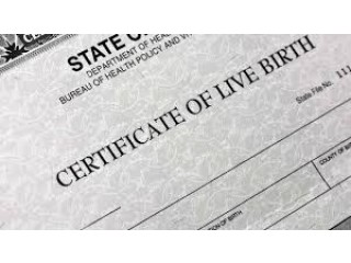 Birth Certificate Translate