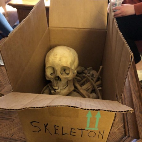 real-human-skeleton-for-sale-big-0