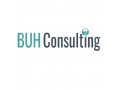 buh-consulting-small-0