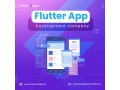 premier-flutter-app-development-company-itechnolabs-small-0