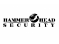 hammer-head-security-small-0