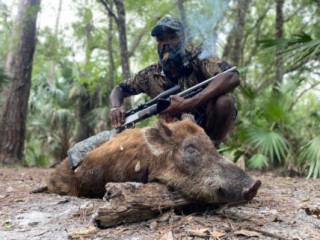 Best Hog Hunting in Florida