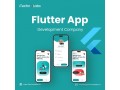 noble-1-flutter-app-development-company-in-california-itechnolabs-small-0