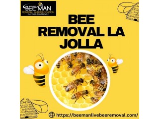 Bee Removal La Jolla