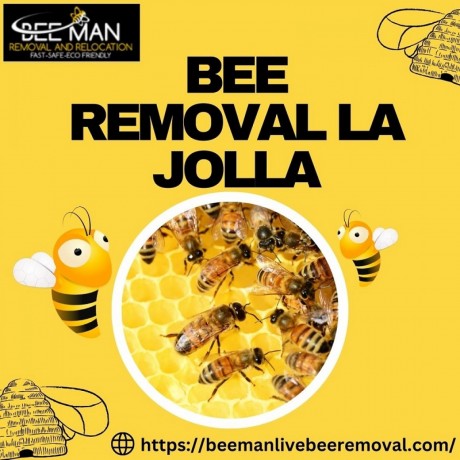 bee-removal-la-jolla-big-0