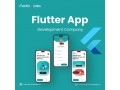 experienced-flutter-app-development-company-in-california-small-0