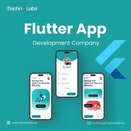 experienced-flutter-app-development-company-in-california-big-0