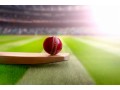 plan-your-ipl-viewing-parties-with-reddy-anna-online-book-2024-small-0