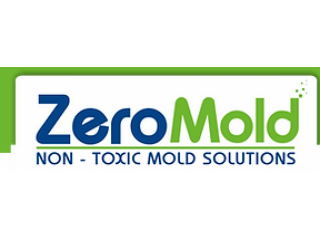 Mold Removal Company In Palatine
