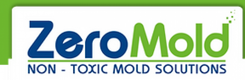 mold-removal-company-in-palatine-big-0