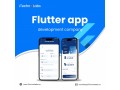 unwavering-flutter-app-development-company-in-california-by-itechnolabs-small-0