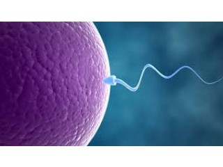 An Understanding of Enclomiphene citrate in Female Infertility
