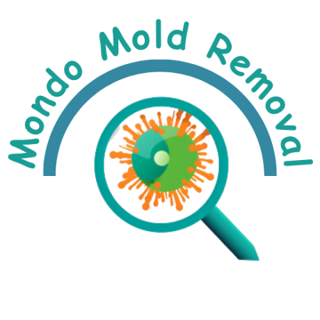 free-mold-removal-estimate-miami-big-0