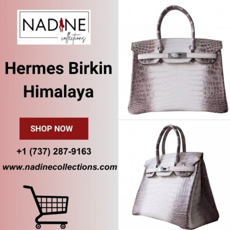 hermes-birkin-himalaya-big-0