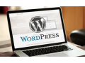 responsive-website-development-service-in-florida-small-0
