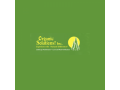 expert-lawn-mowing-services-near-you-small-0