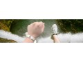 free-luma-small-0