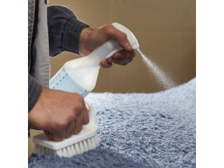Best Carpet Stain Removers