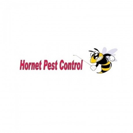 hornet-pest-control-big-0