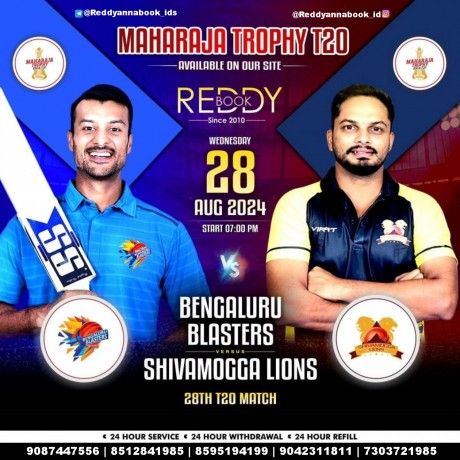 a-comprehensive-guide-to-accessing-and-utilizing-reddy-anna-exchange-big-0