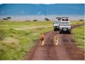 best-luxury-african-safari-tours-small-0