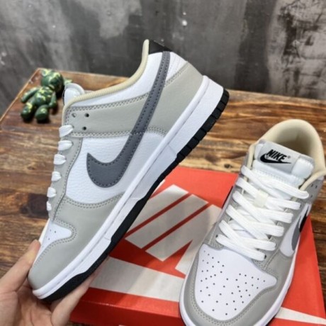 nike-sb-dunk-low-sneaker-big-1